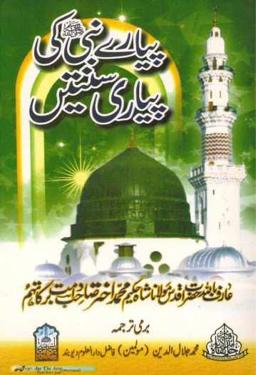 Myanmar Beautiful Sunnah of Beloved Prophet (SAW) (Islamic Sunnah BMS) Textbook PDF
